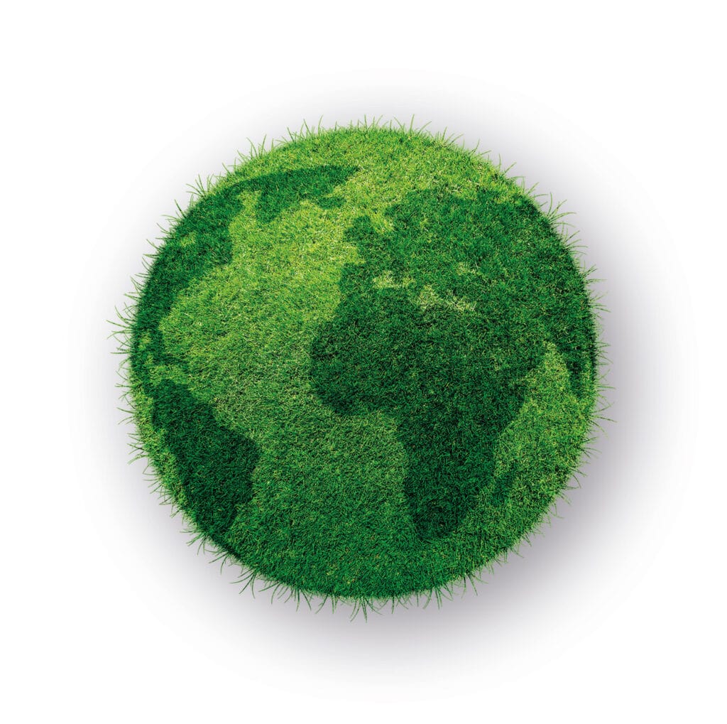 Grassy-Earth-White-BG-e1696518974127-1024x1019