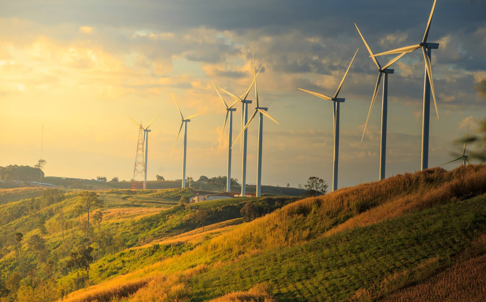 solar panels and windmills-min